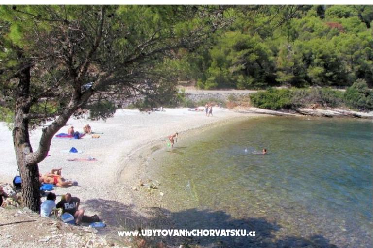 Apartments Beba – photo 17