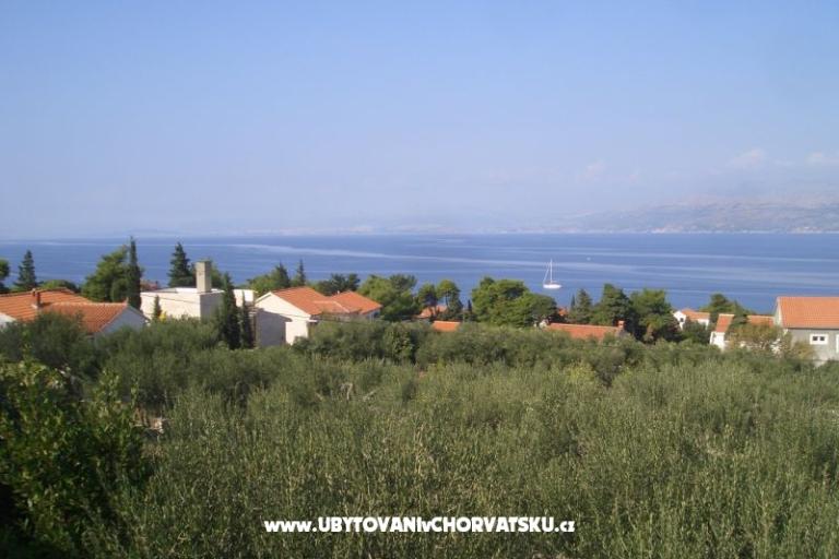 Apartments Marino – photo 5
