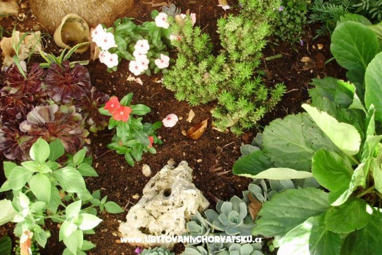 Apartments Petranic – photo 15