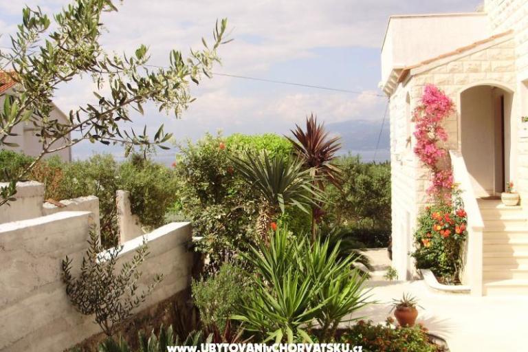 Apartments Petranic – photo 16