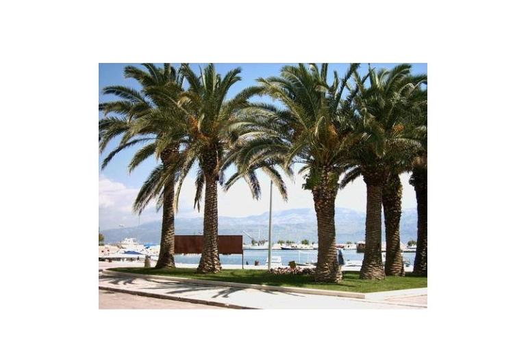 Apartments Vesna Supetar – photo 15