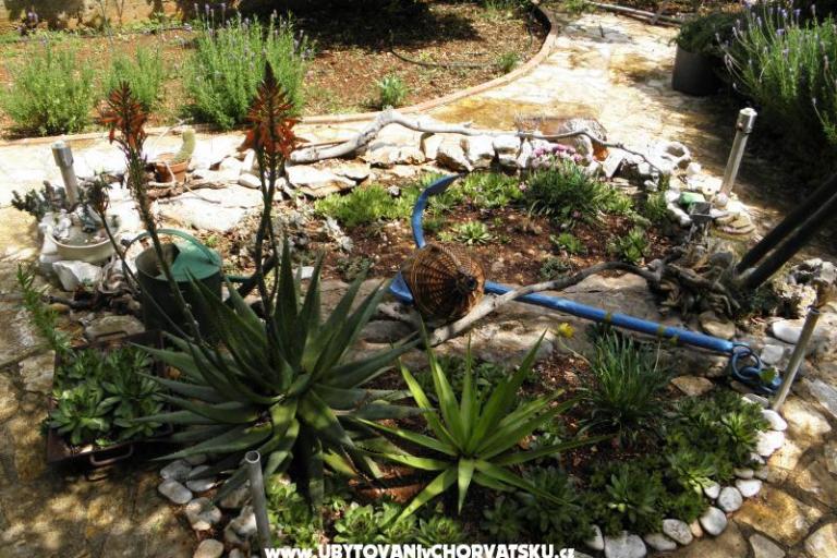 Vacation house Ivana – photo 17