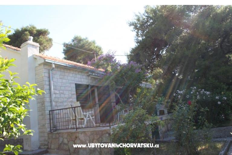 Villa Dragan – photo 2