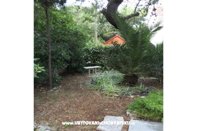 Villa Dragan – photo 5