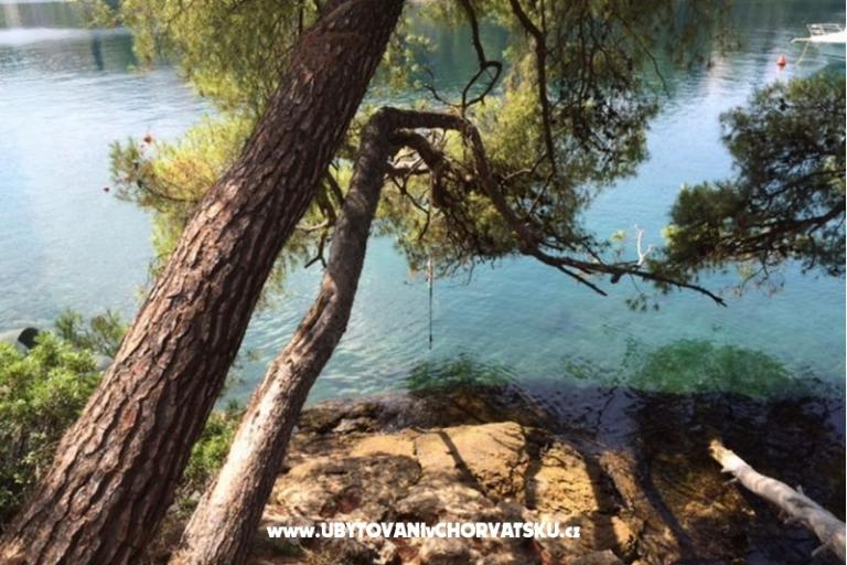 Vile Dinoti – photo 17