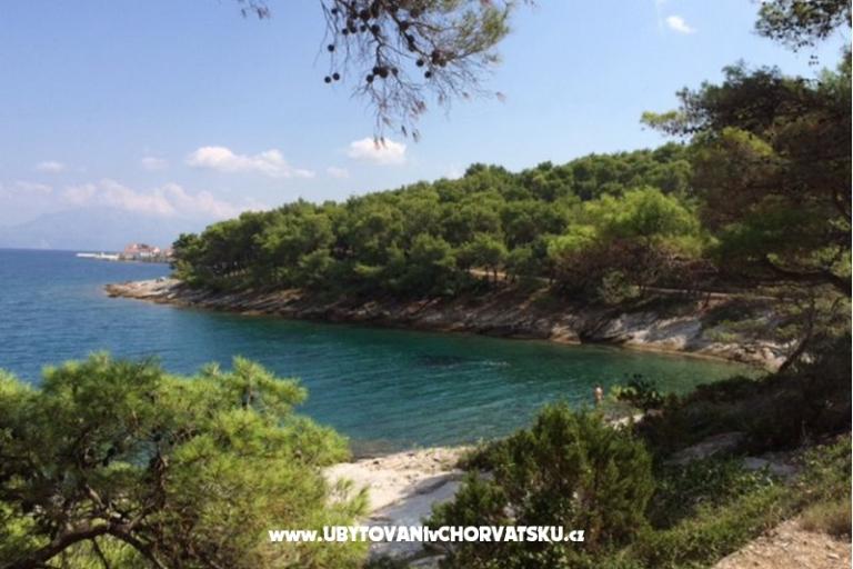 Vile Dinoti – photo 18
