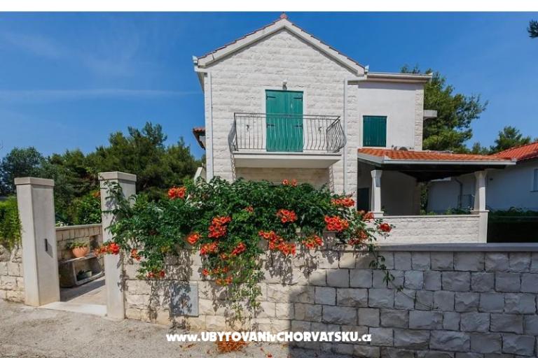 Villa Kamenica – photo 17