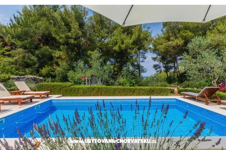 Villa Kamenica – photo 4