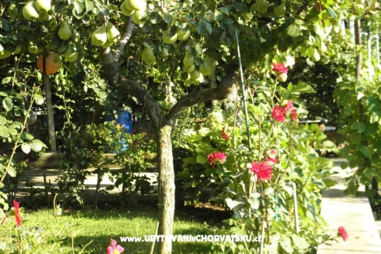 Apartments Lucija – photo 16