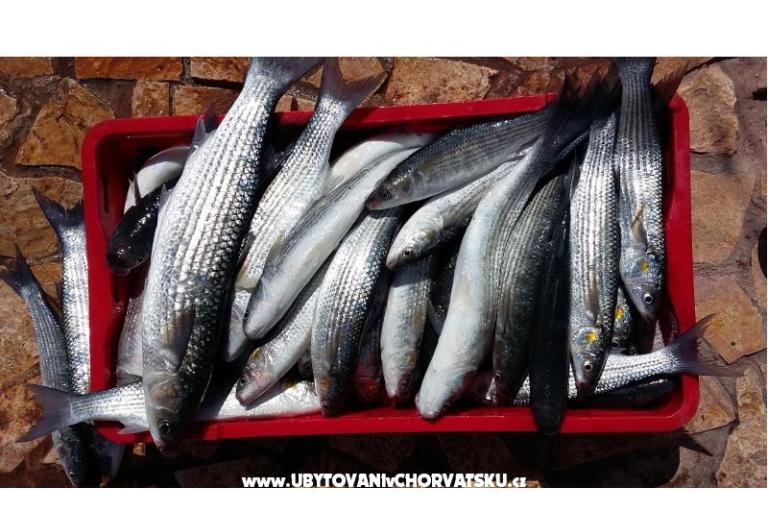 Colić Apartments  – photo 10