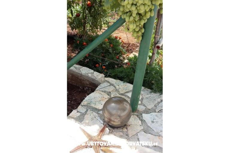 Colić Apartments  – photo 11