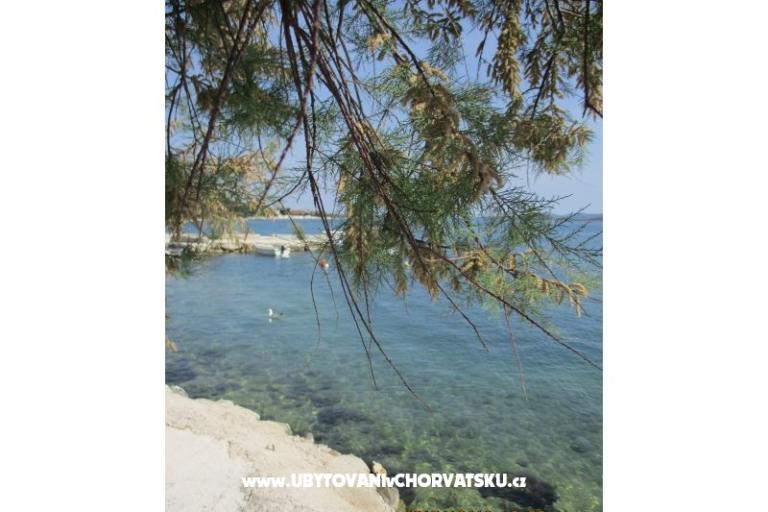 Colić Apartments  – photo 6