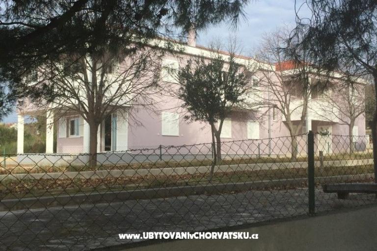 Lavanda – photo 11