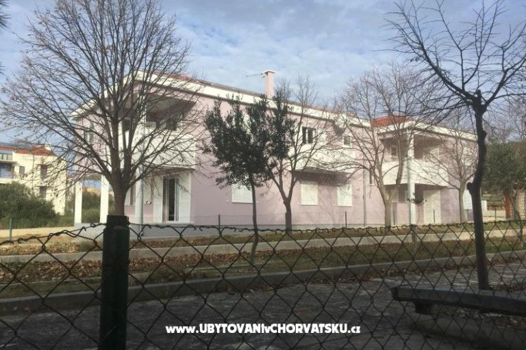 Lavanda – photo 12