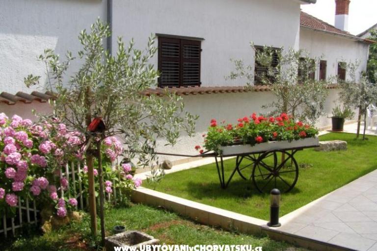 Apartments Roviš – photo 7