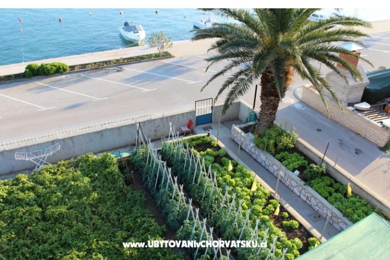 Apartments Berak – photo 15