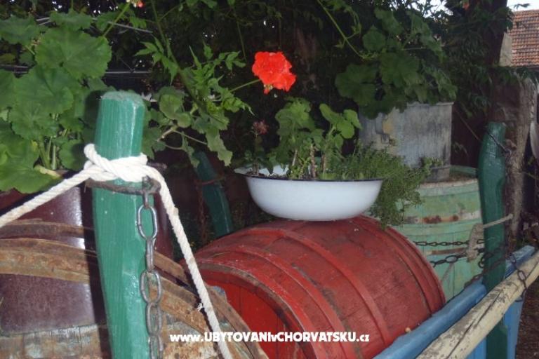 Apartments Mara – photo 17