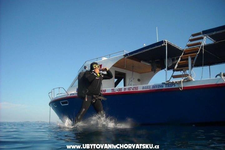 Acommodation centre FUN DIVING – photo 17