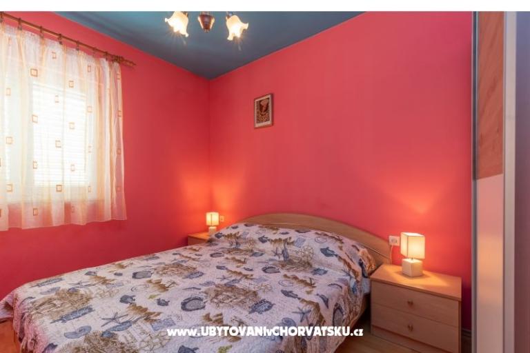 Antonio – photo 13