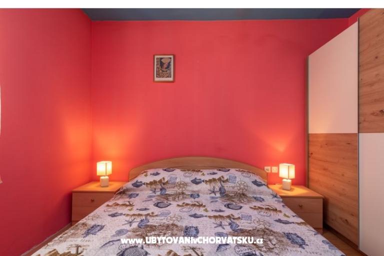 Antonio – photo 14