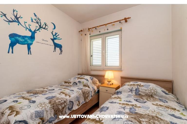 Antonio – photo 16