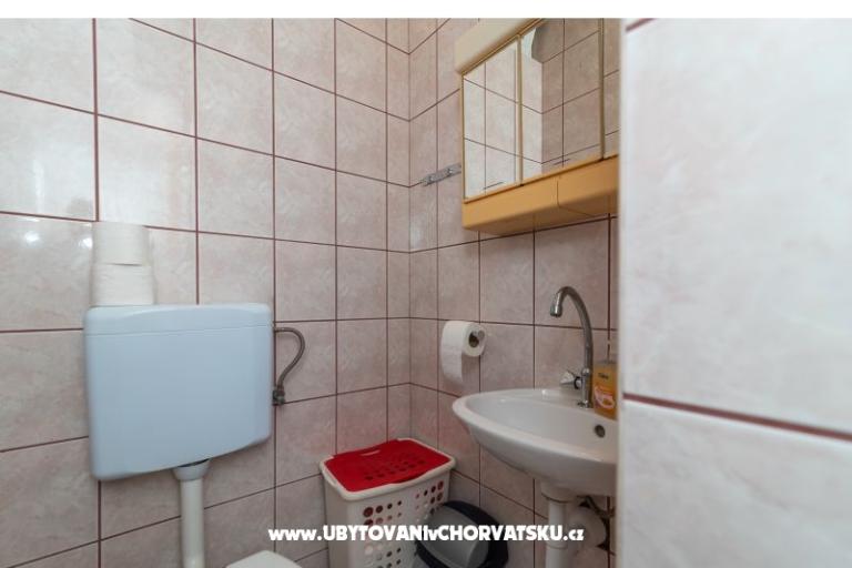 Antonio – photo 19