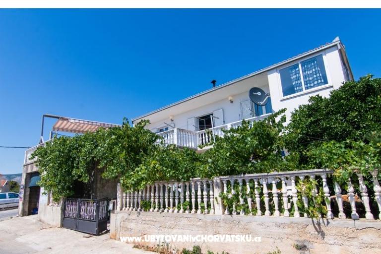 Antonio – photo 21