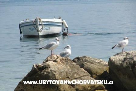 Apartment Antea – photo 12