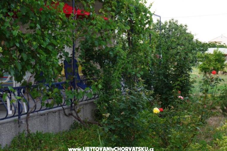 Apartment Lana – photo 6