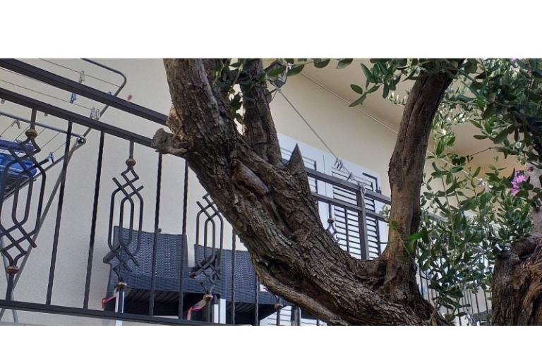 Apartment Monika – photo 17