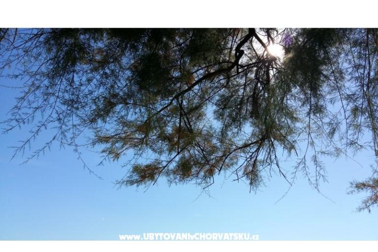 Apartment Rita – photo 8