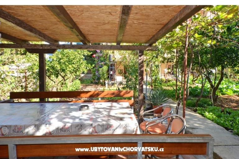 Rubin – photo 15