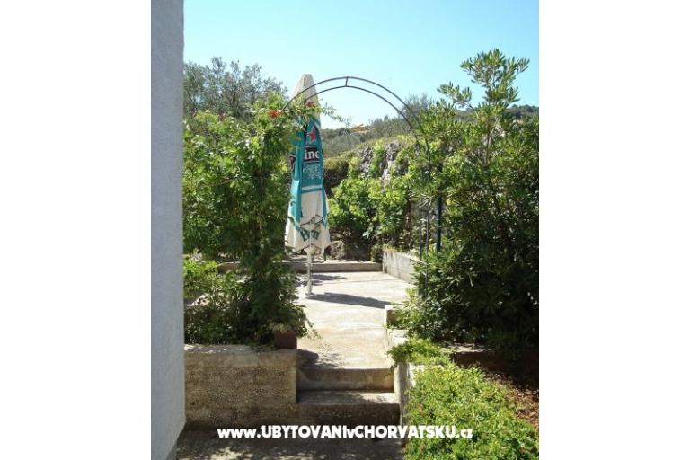 Apartments Anita – photo 11
