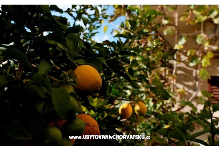 Baković - on the beach – photo 10