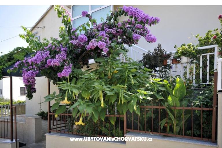Apartments Borna – photo 18