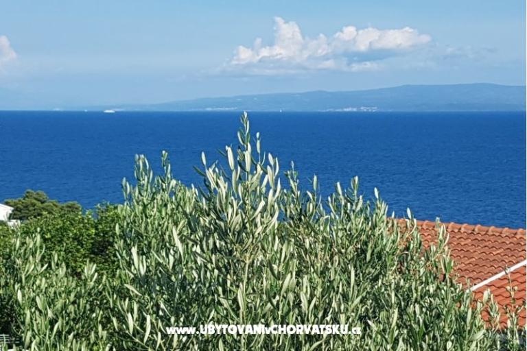 Apartments Ivan Okrug Gornji – photo 21