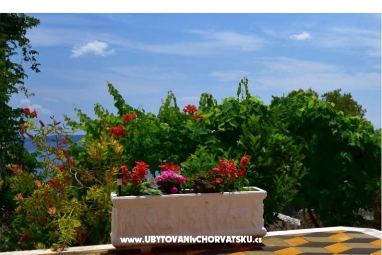 Apartments Ivan Okrug Gornji – photo 6