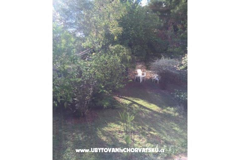 Apartments Ivic – photo 2