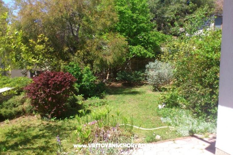 Apartments Ivic – photo 3