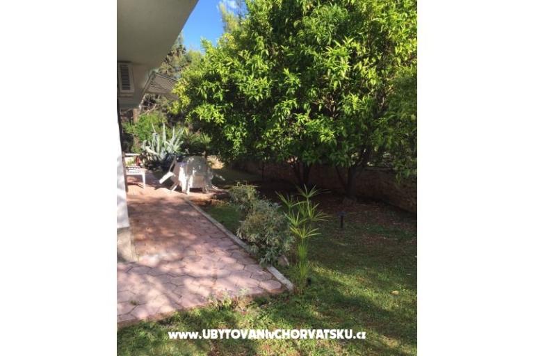 Apartments Ivic – photo 4