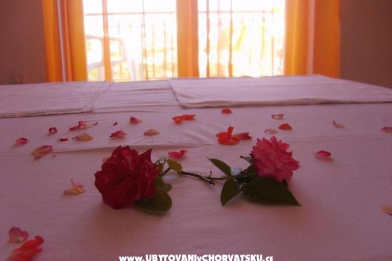 Apartments Loncar – photo 2