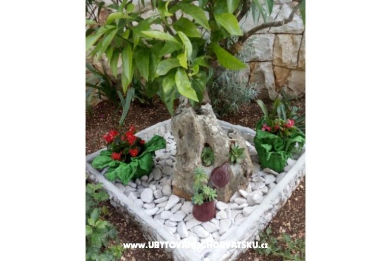 Apartments Malic – photo 14