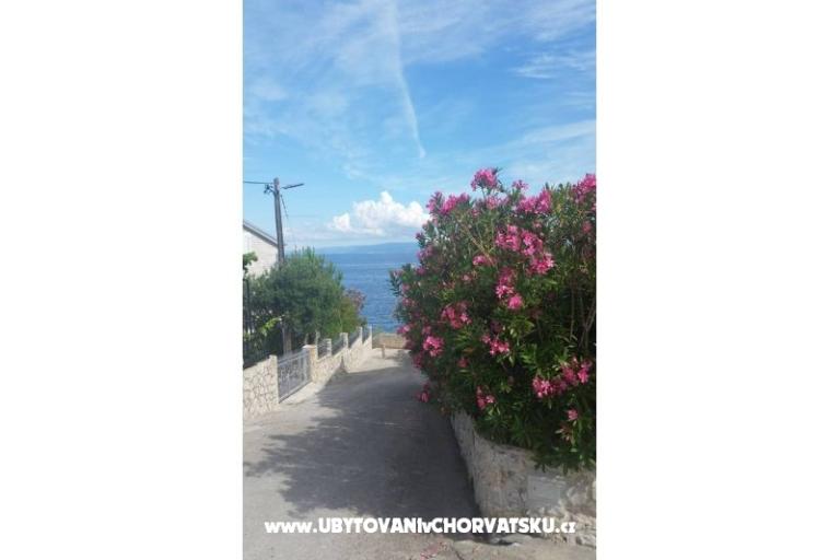 Apartments Malic – photo 6