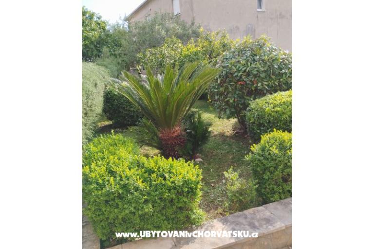 Apartments Marin – photo 12