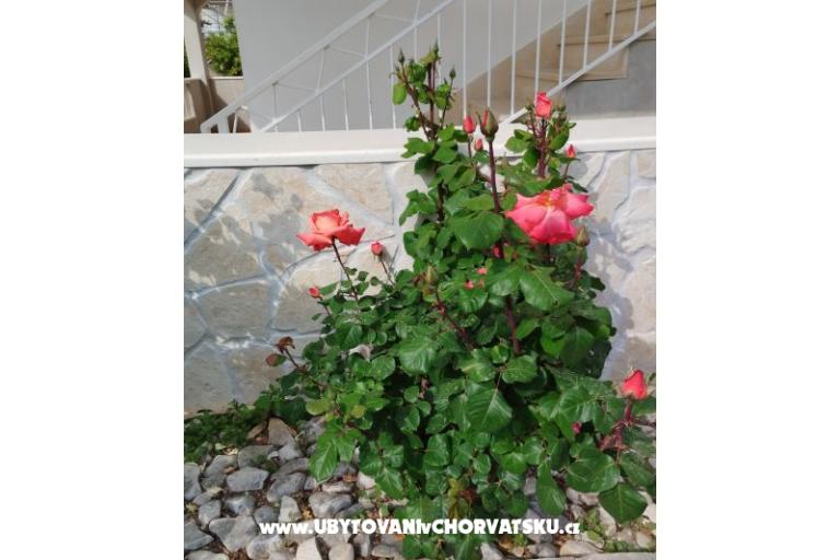 Apartments Marin – photo 8