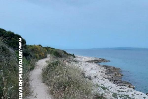 Apartments Neda Parežanin – photo 13