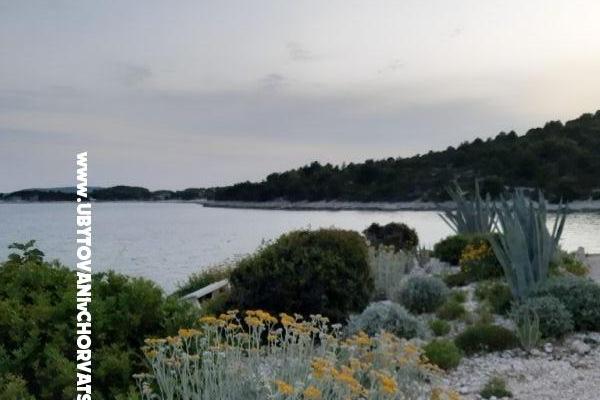 Apartments Neda Parežanin – photo 14