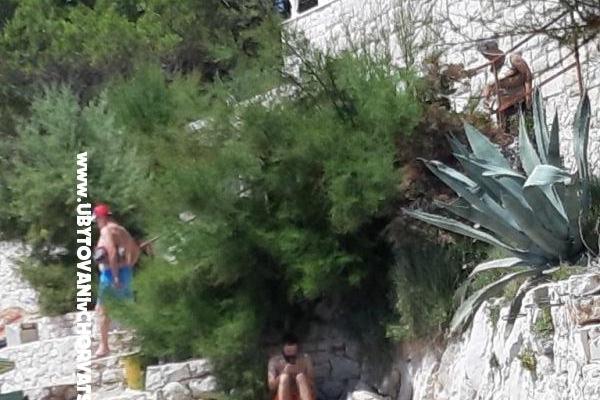 Apartments Neda Parežanin – photo 7