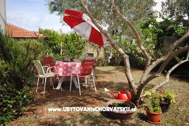 Apartments Neva – photo 3