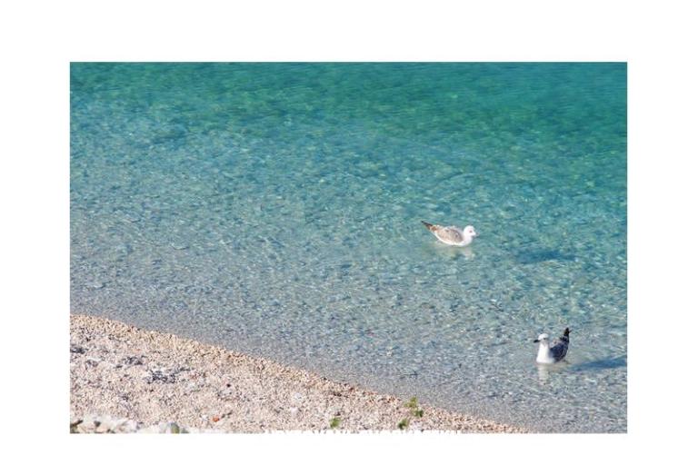 Apartments Neva – photo 7